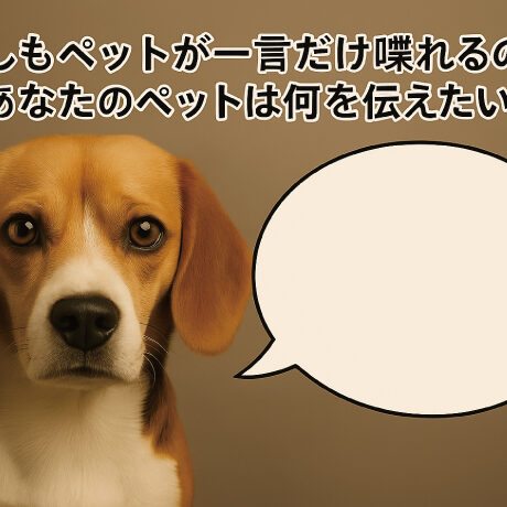 もしもペットが一言だけ喋れるのならあなたのペットは何を伝えたい？