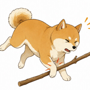 犬も歩けば棒に当たる。このことわざを令和版にアップデートしてください！